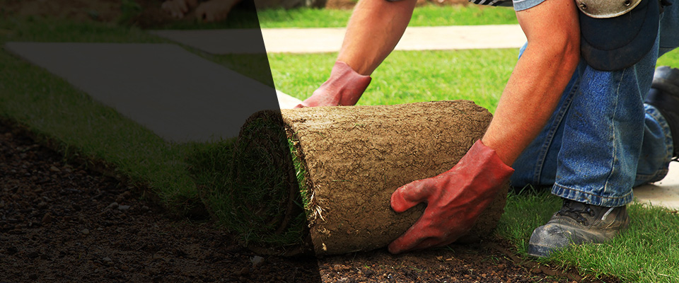 Bargersville Landscapers